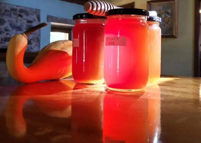 Rectoria Santuari Del Coll